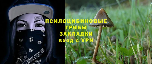не бодяженный Аркадак